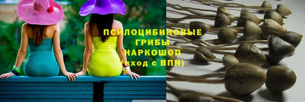 эйфоретик Алексеевка