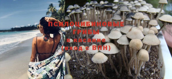 a pvp Приозерск