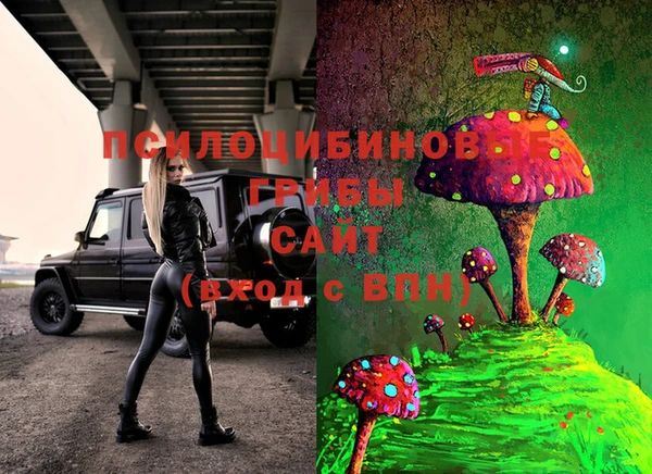 эйфоретик Алексеевка