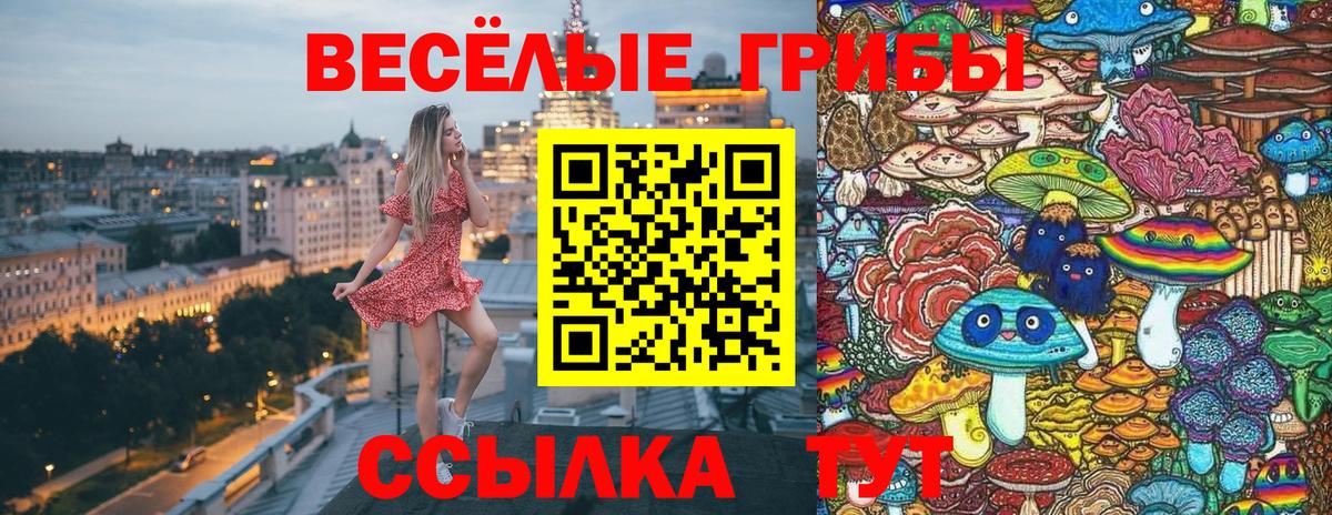 Галлюциногенные грибы ЛСД  Вход с VPN  Ревда 
